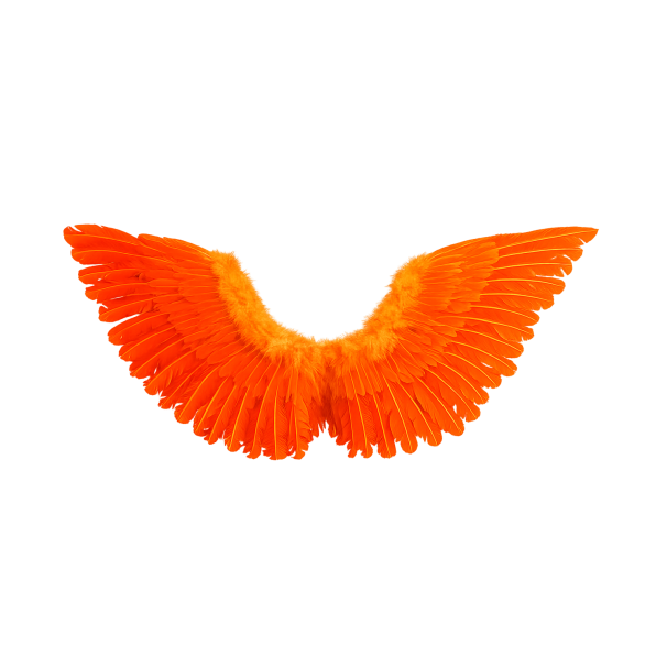 MELEK KANADI TURUNCU TÜYLÜ 76X62 MELEK KANADI TURUNCU TÜYLÜ 76X62