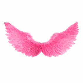 MELEK KANADI PEMBE TÜYLÜ 76X62