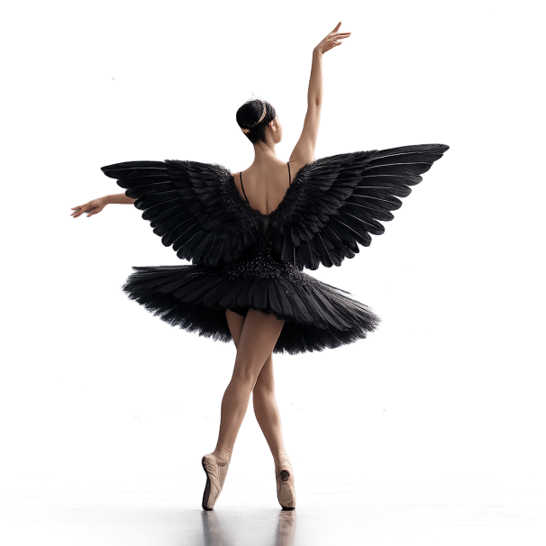 MELEK KANADI SİYAH TÜYLÜ 76X62 MELEK KANADI SİYAH TÜYLÜ 76X62