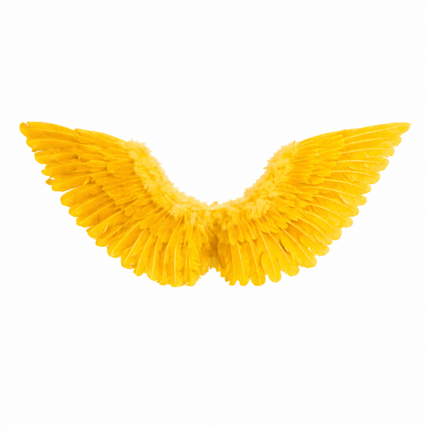 MELEK KANADI SARI TÜYLÜ 76X62 