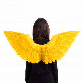 MELEK KANADI SARI TÜYLÜ 76X62 