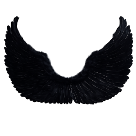 MELEK KANADI SİYAH TÜYLÜ 80X60