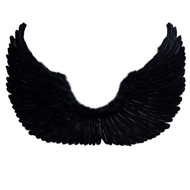 MELEK KANADI SİYAH TÜYLÜ 80X60 MELEK KANADI SİYAH TÜYLÜ 80X60