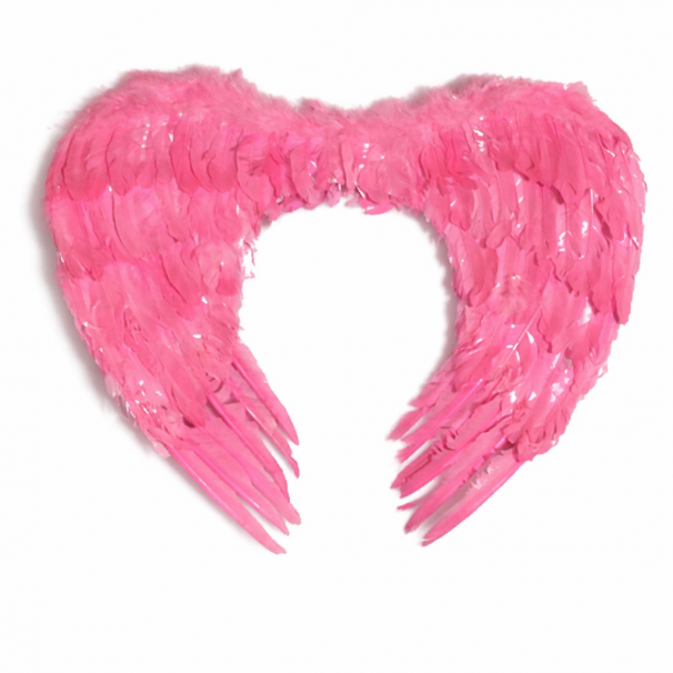 MELEK KANADI PEMBE TÜYLÜ 80X60