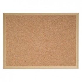 Mantar Pano 45x60